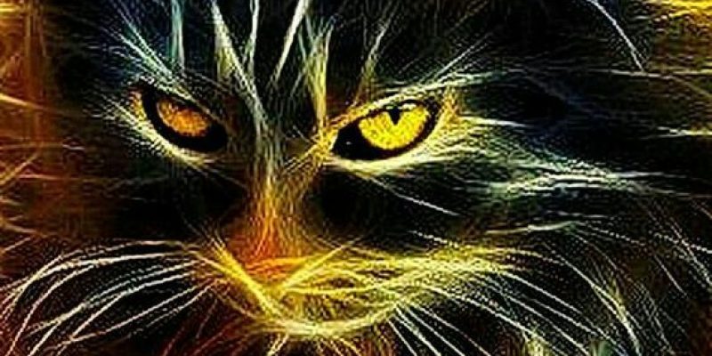 5e709f99544ea8f291407431349f18dd