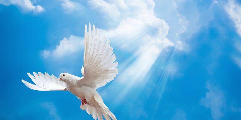 abd7c58f0e2a3917bb40d0e4367f67bb